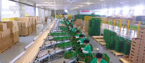 100億、10億、8.7萬億!鄉村特色產業領域拓寬 發展韌性強