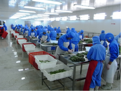 泰安市農業農村局