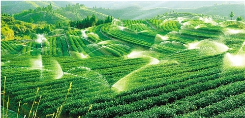 農(nóng)業(yè)生態(tài)循環(huán),浙江領跑全國