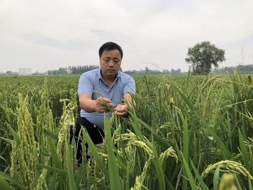 五里源 富硒大米 地域特色產(chǎn)品 優(yōu)質(zhì)農(nóng)業(yè)代表