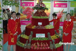 累計1480余噸 統計顯示深圳成最大臺果進口口岸圖