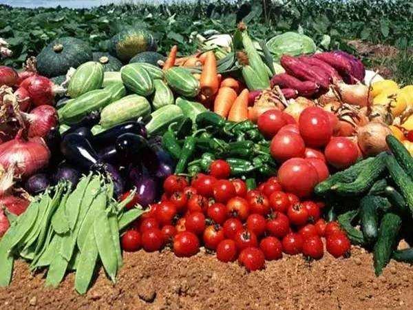 今年下半年,東營農業部門將加快培育農業&ldquo;新六產&rdquo;