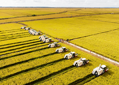 全產(chǎn)業(yè)鏈農(nóng)業(yè)是鄉(xiāng)村振興必答題