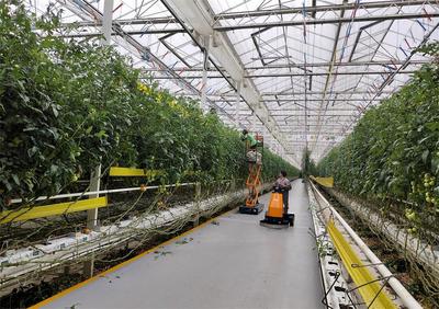 【春耕一線見聞】桐城:數(shù)字技術(shù)&ldquo;上山下田&rdquo; 農(nóng)產(chǎn)品&ldquo;出村進城&rdquo;