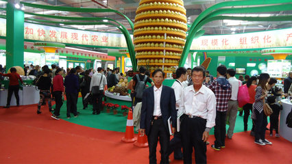 【批發(fā)蜜柚天然果園培植品質(zhì)保障 批發(fā)售賣13459609788】價格_廠家_圖片 -