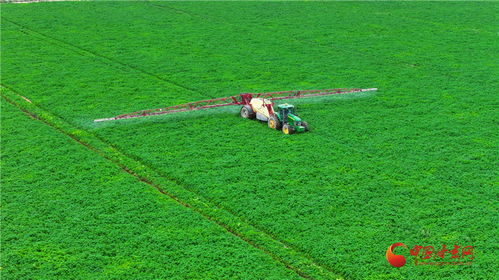 民樂 構建現代農業產業體系 促進農業產業升級