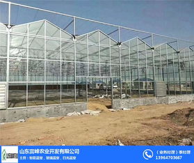 富峰農(nóng)業(yè) 信陽文洛式溫室廠家的專業(yè)優(yōu)勢與發(fā)展前景
