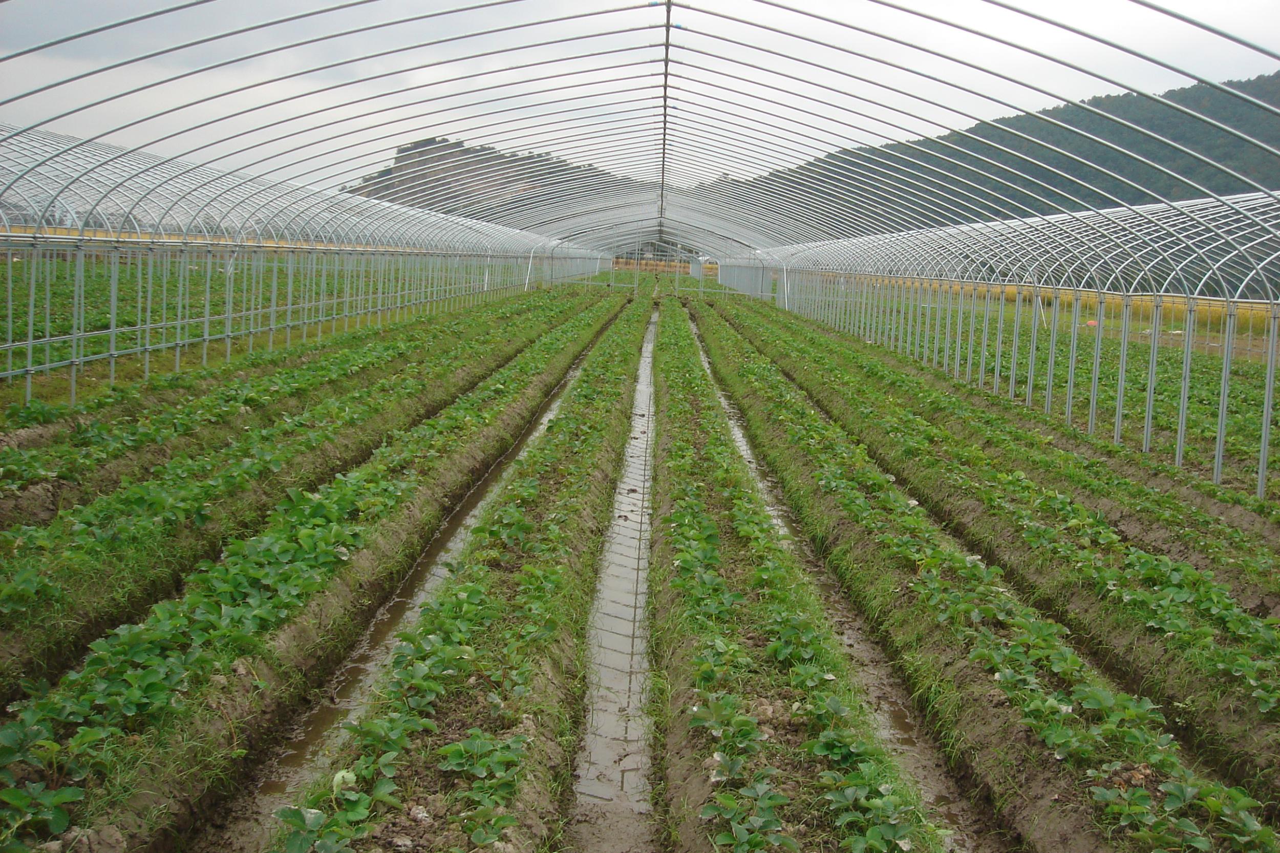 平陽三農 創新引領，譜寫三農發展新篇章